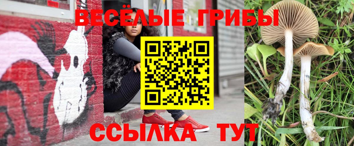 Сердобск  Галлюциногенные грибы ЛСД  Вход с VPN 